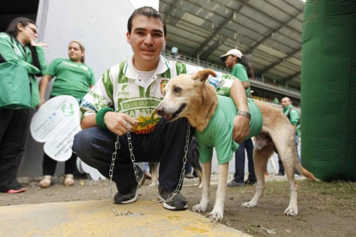 Marathón se pronuncia en contra del maltrato animal