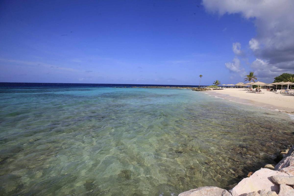 El lujoso hotel donde se concentra Honduras para partido ante Haití; valor de las habitaciones
