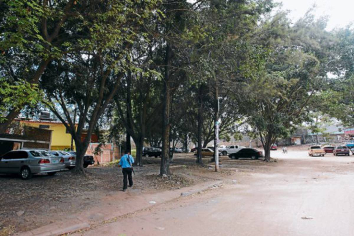 Batalla por áreas verdes llegará a los tribunales