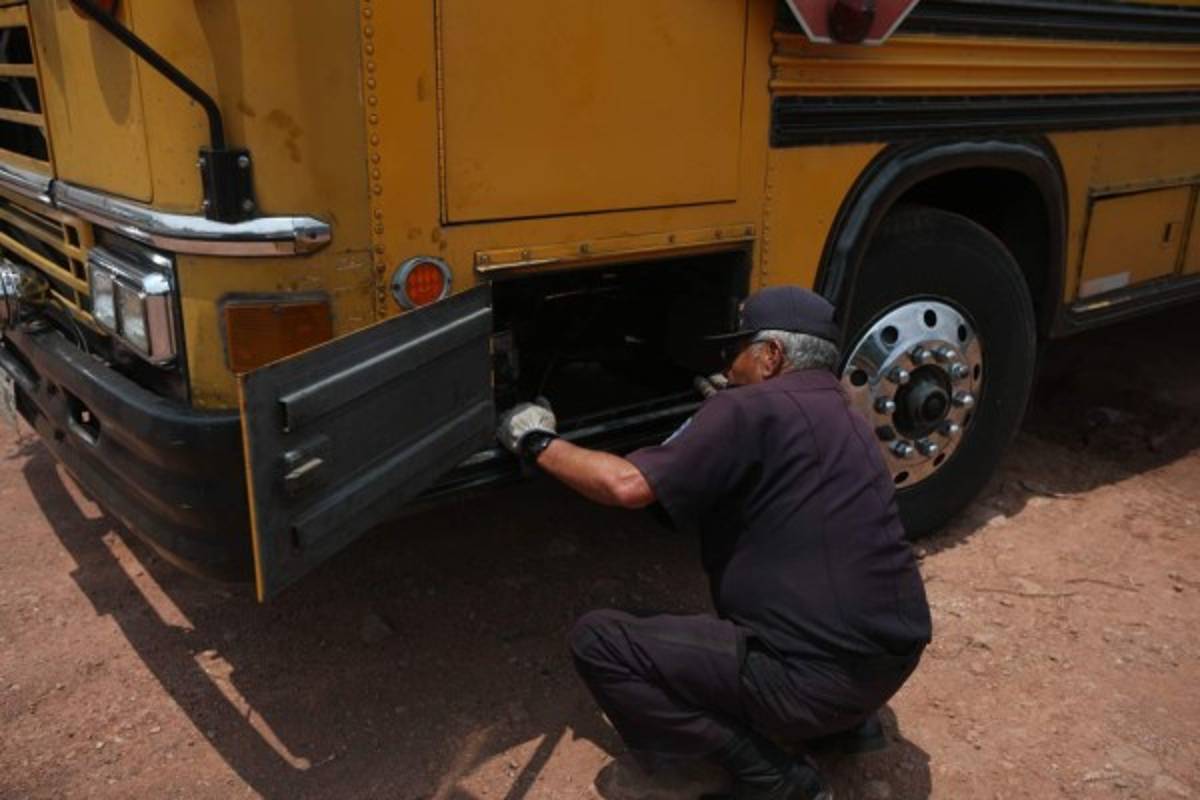 Tegucigalpa: DGT inicia el lunes revisión de buses