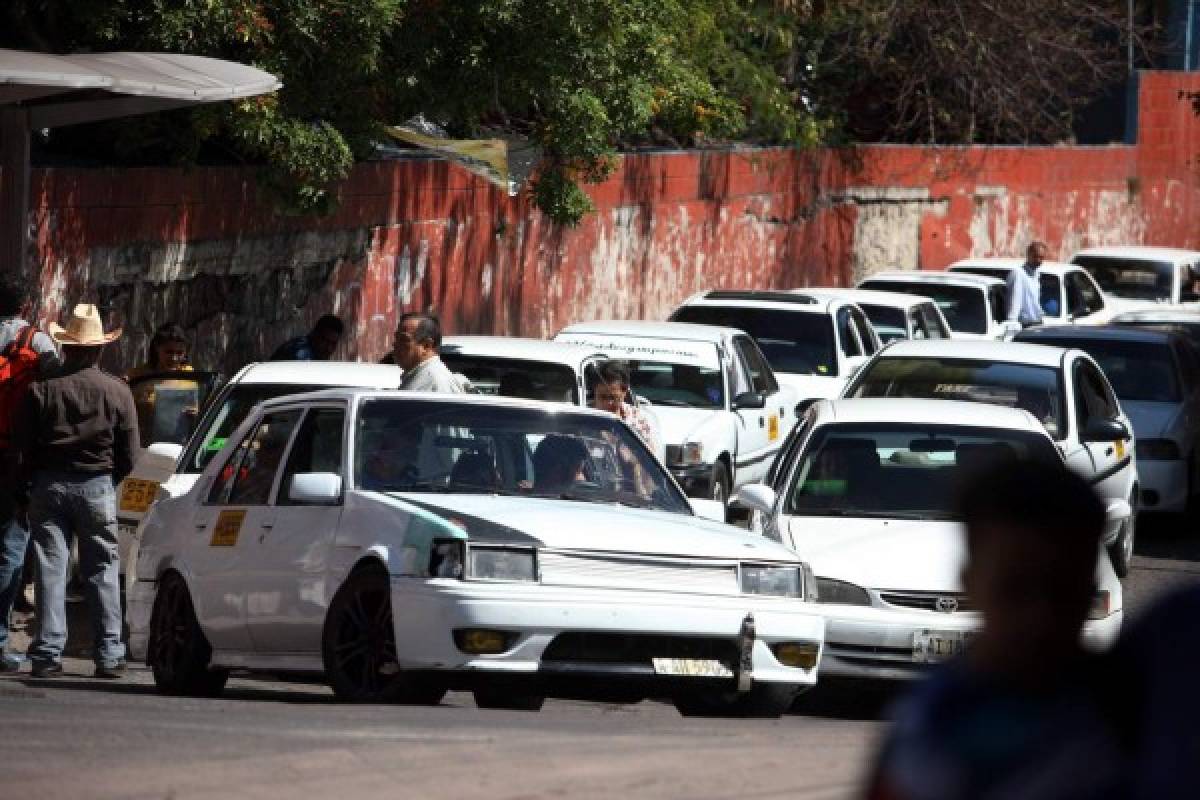 Tegucigalpa: Taxi colectivo debió bajar dos lempiras