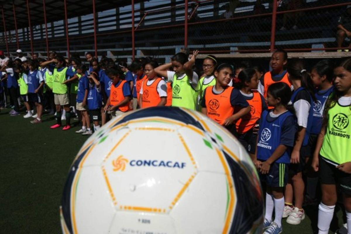 En el 2019, un mini complejo para ellos