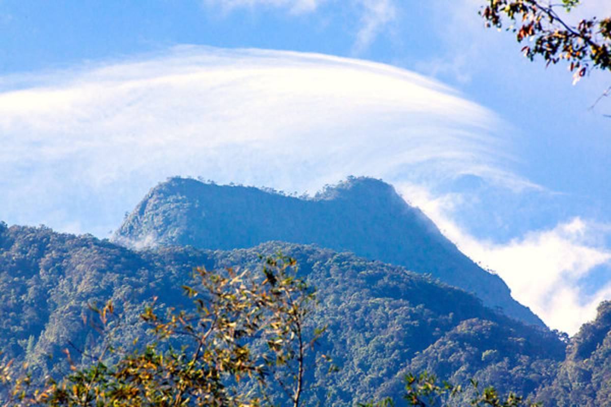 Honduras, paraíso para observadores de aves
