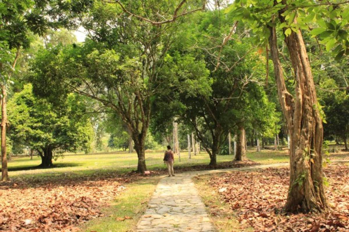 Un viaje por la Joya Verde del Caribe hondureño