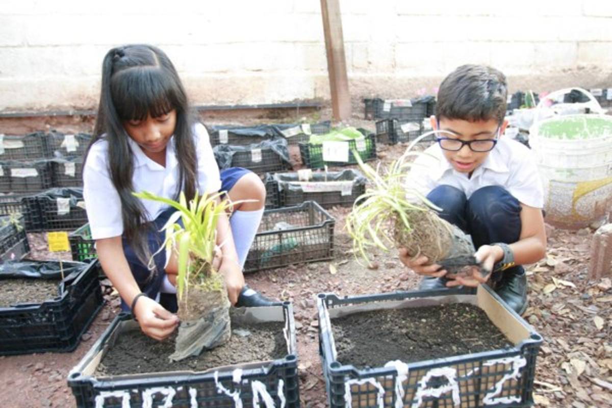 Entornos verdes recuperan importancia en la Escuela Experimental de Niños para la Música