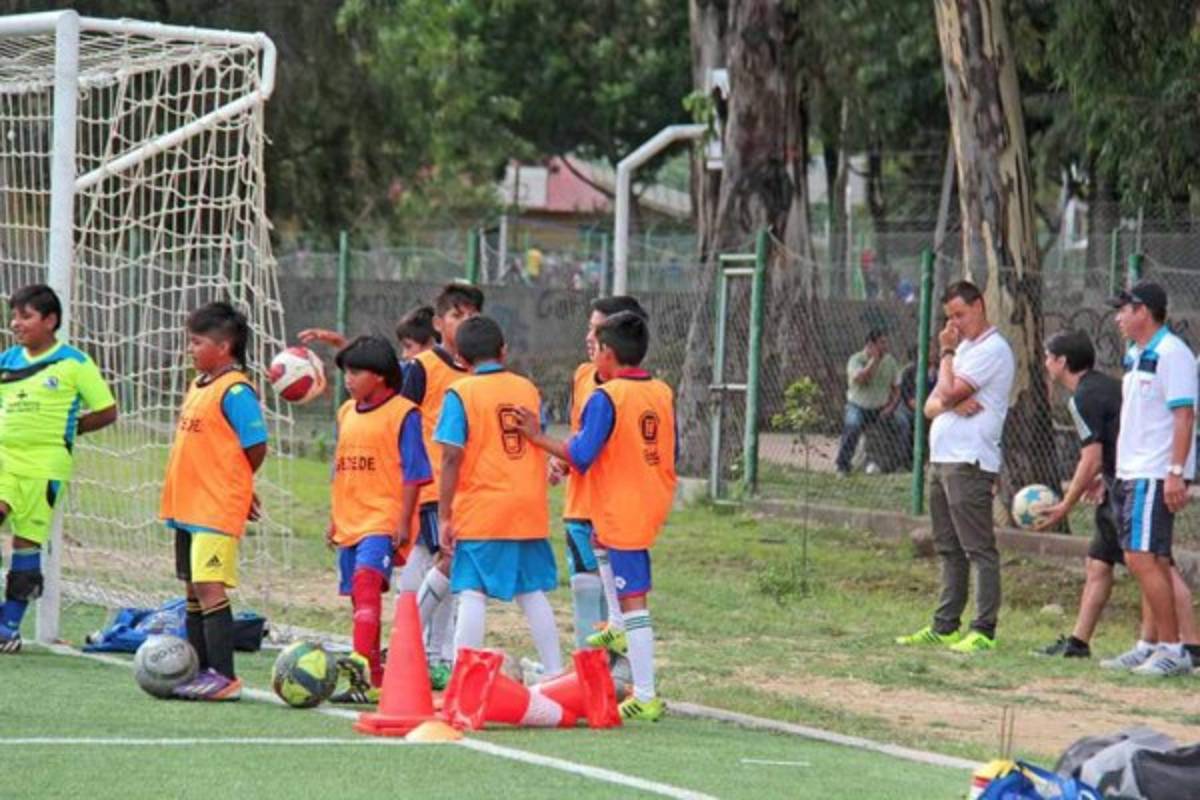 En el 2019, un mini complejo para ellos