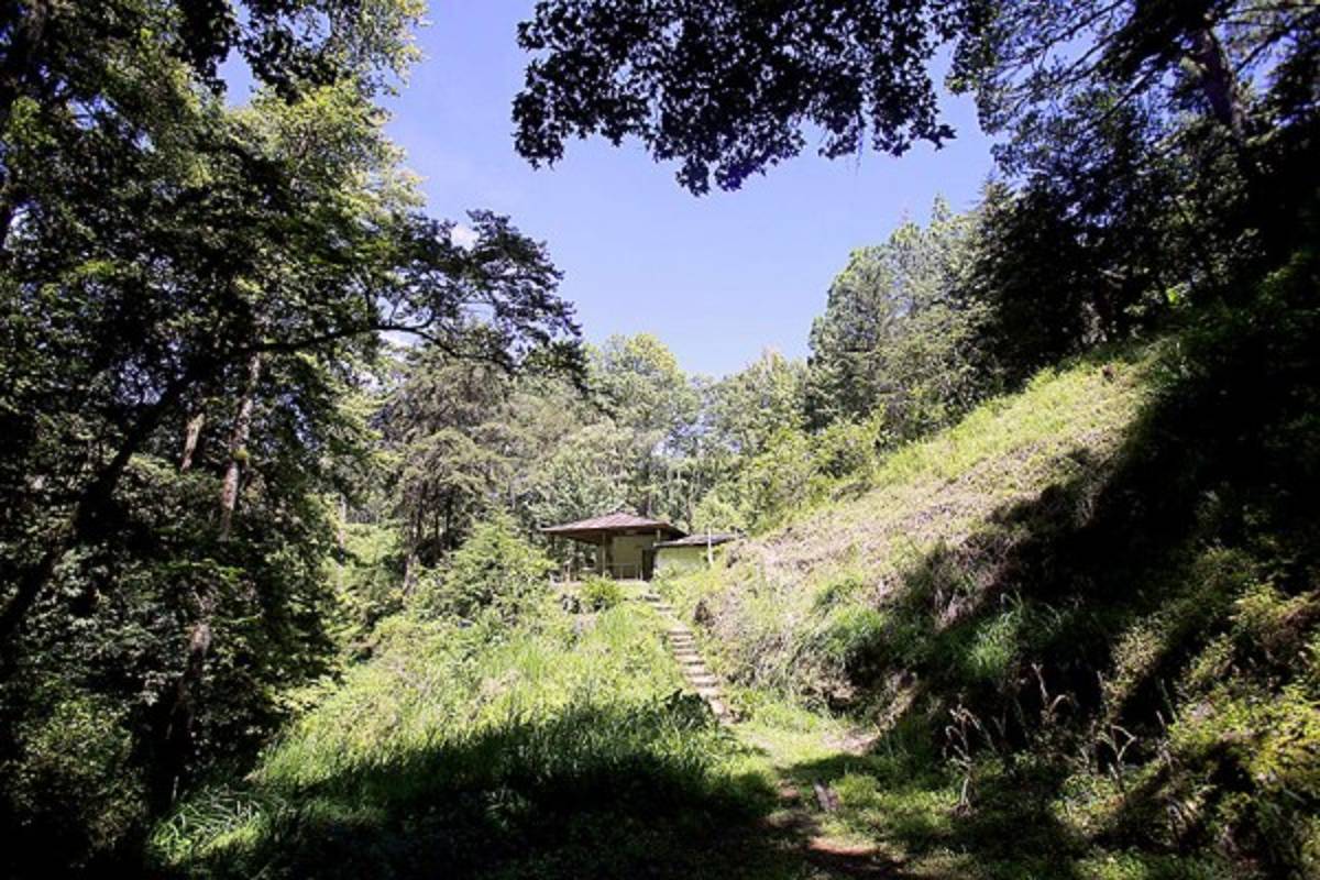 Exuberante belleza natural en La Tigra