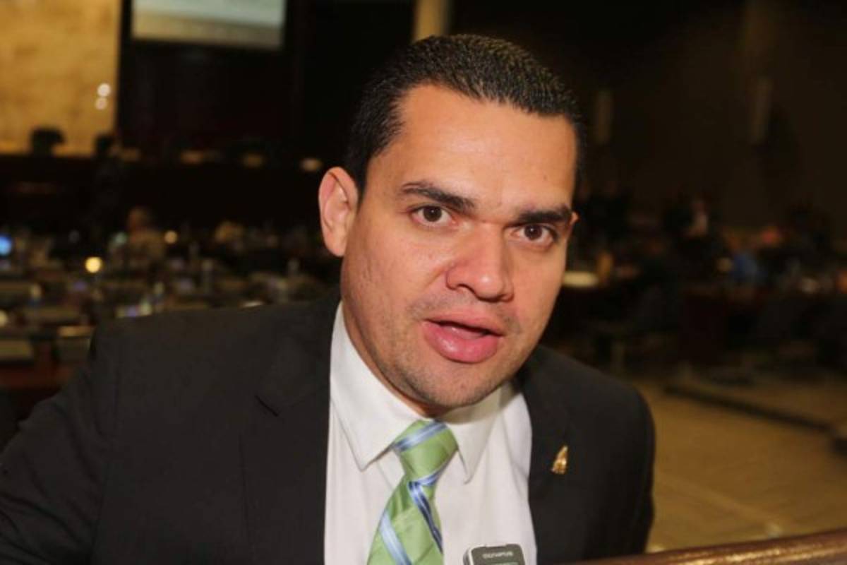 Zambrano confía en que la mayoría de los diputados tengan la madurez para aprobar sin más demora estas modificaciones.