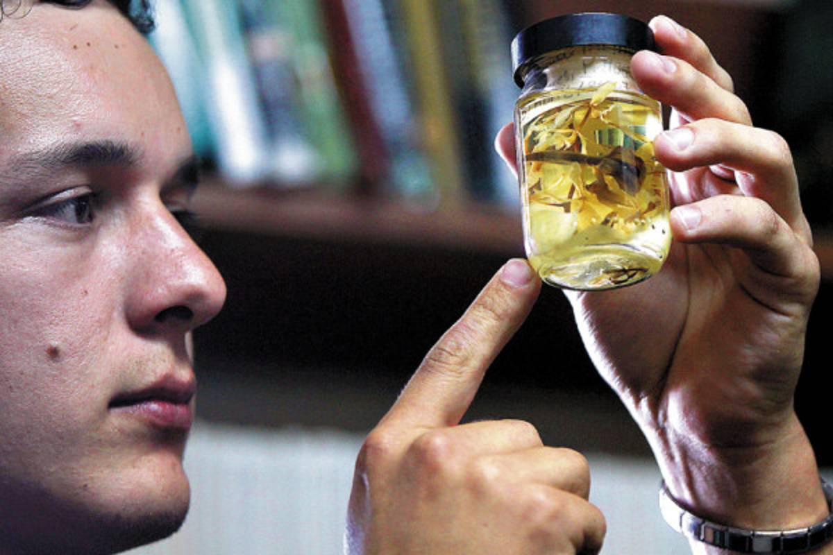 El herbario de Zamorano