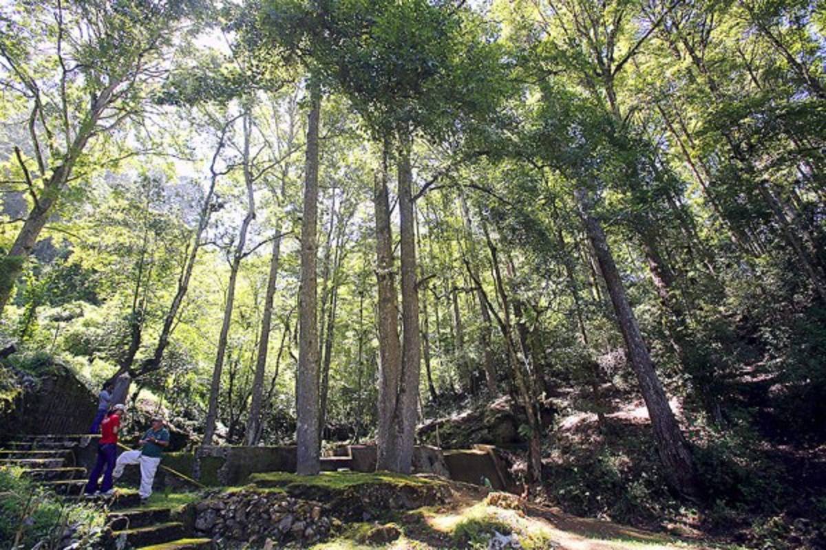 Exuberante belleza natural en La Tigra