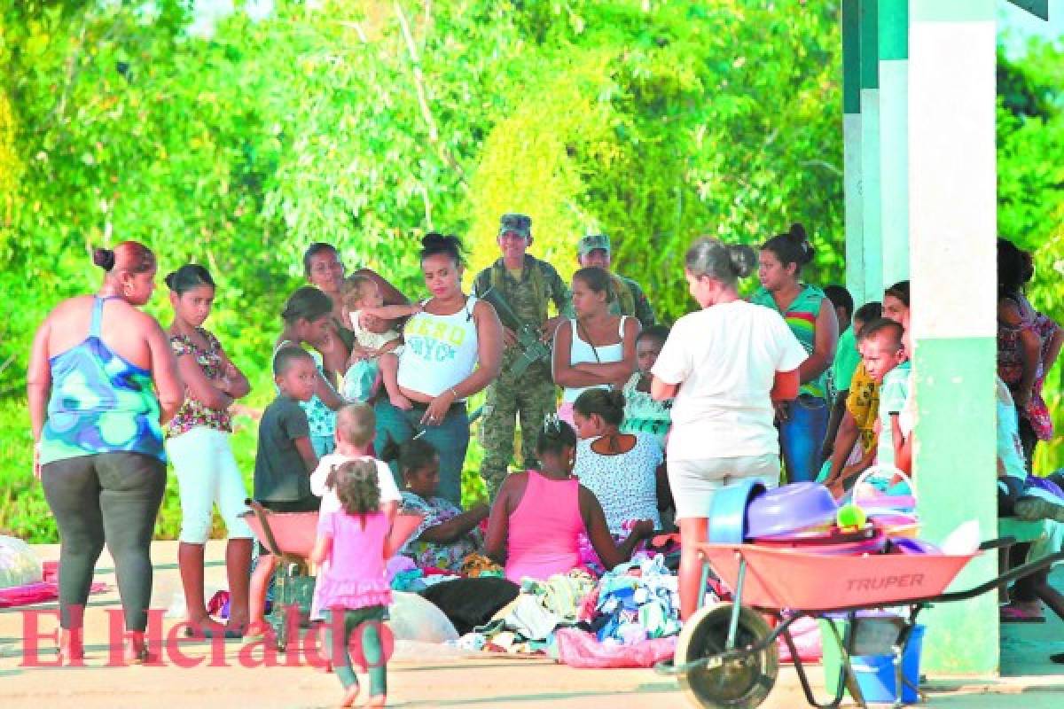 Escudo Antidrogas golpea a narcotraficantes en La Mosquitia