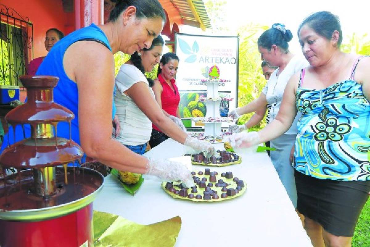 Cacao, manjar de dioses de Honduras para el mundo