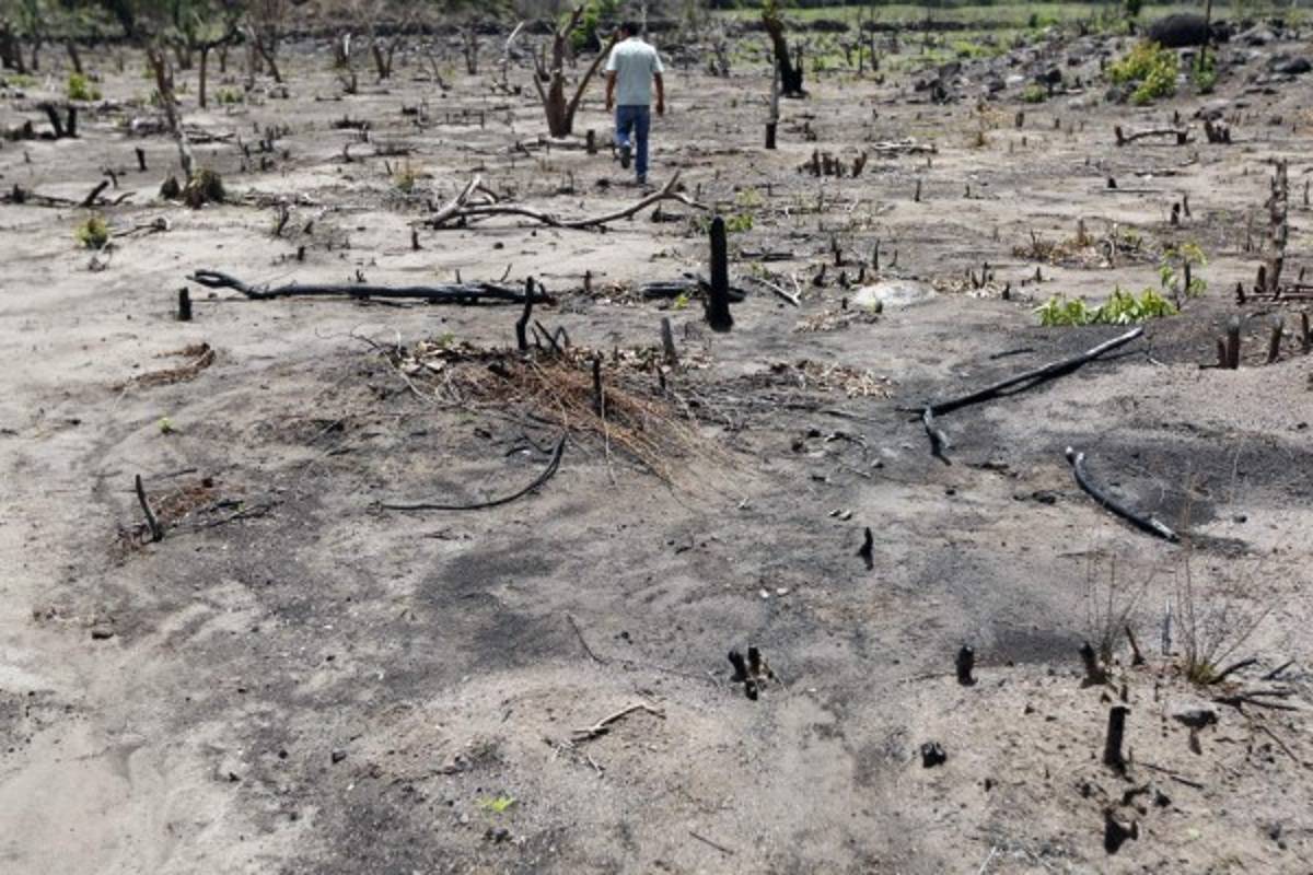 Hambre acecha en Texíguat