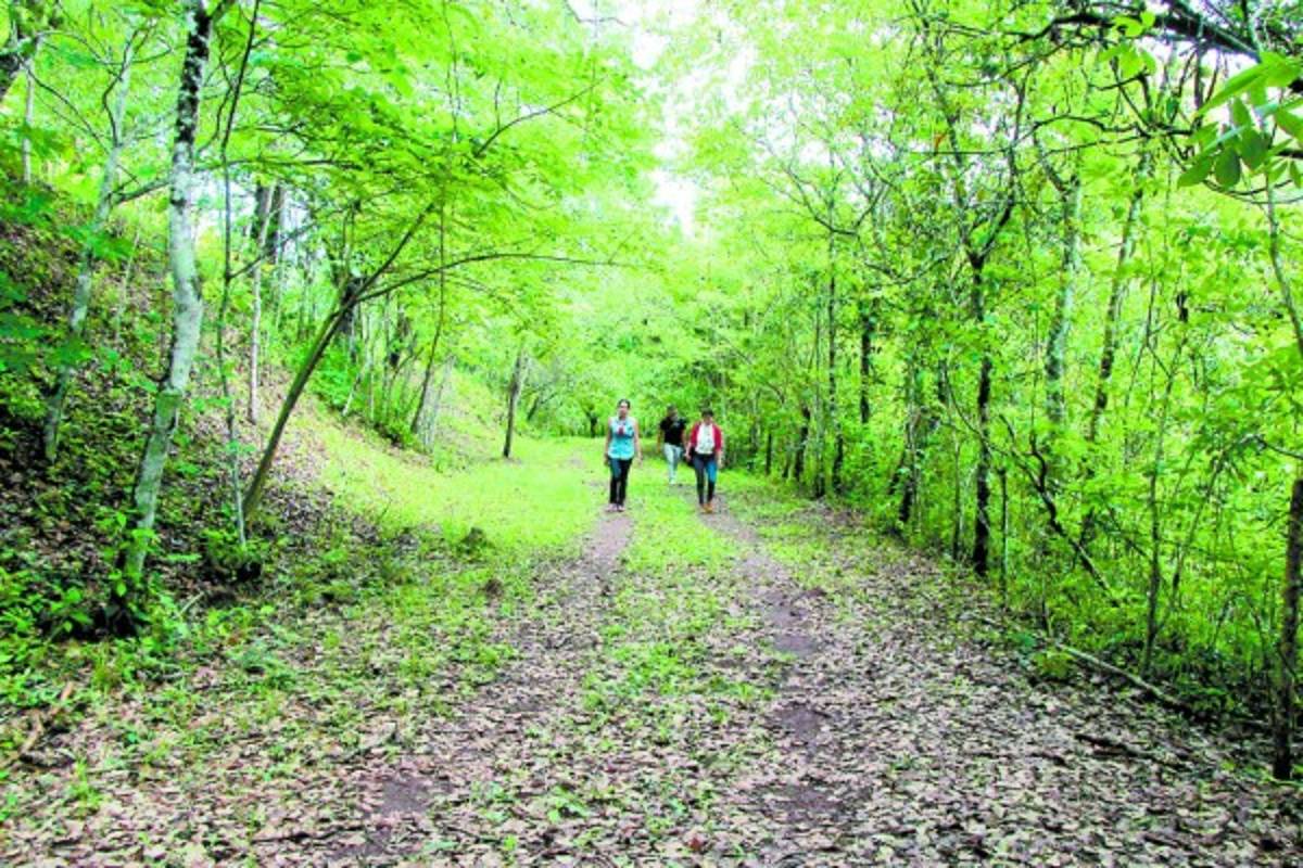 Jardín Botánico El Carao, santuario de vida silvestre en La Libertad