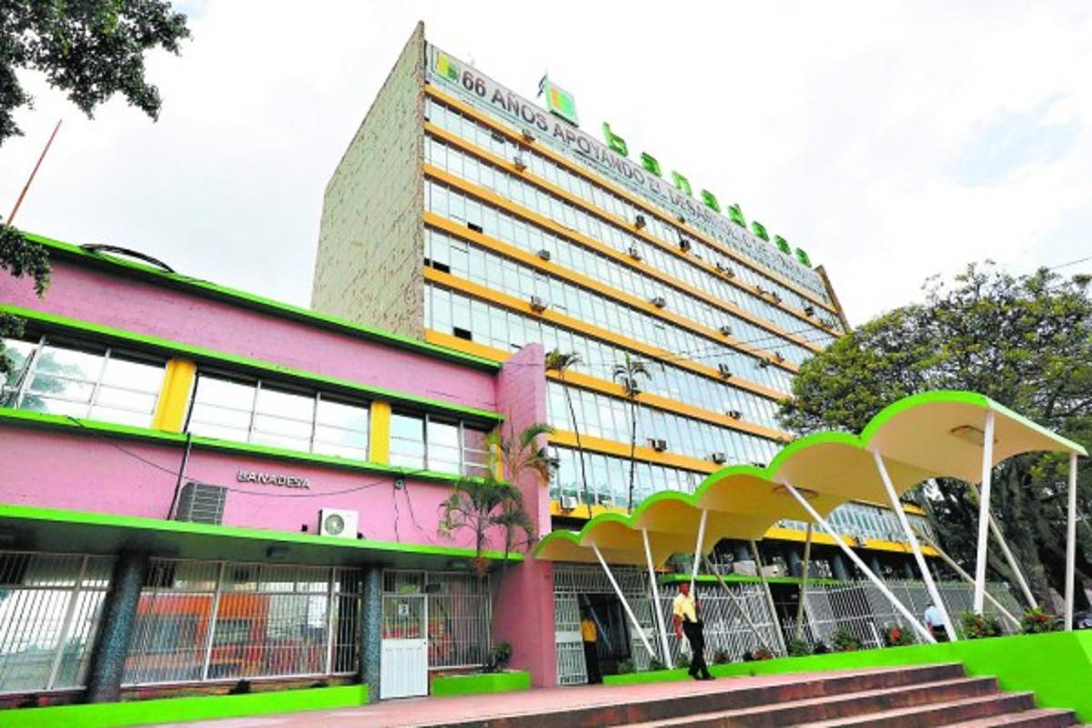 Aplicarán decreto de condonación en Banadesa