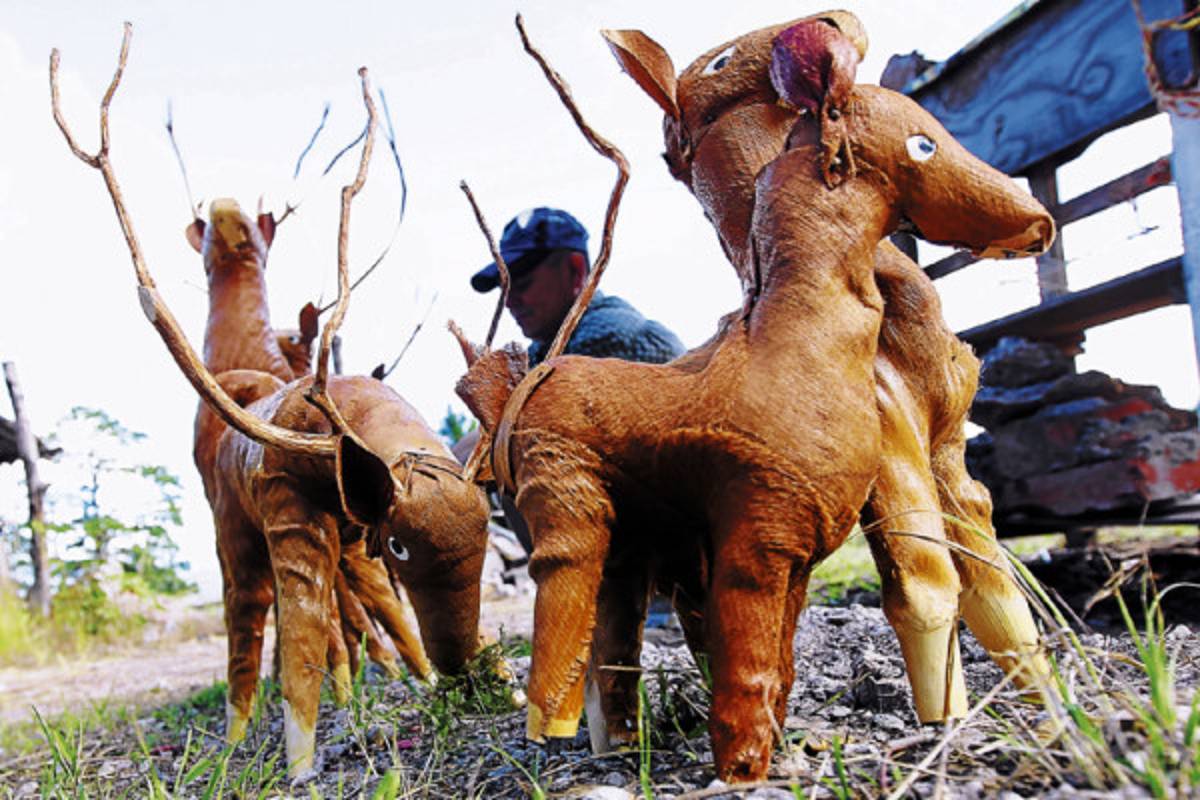 Productos del campo adornan la Navidad