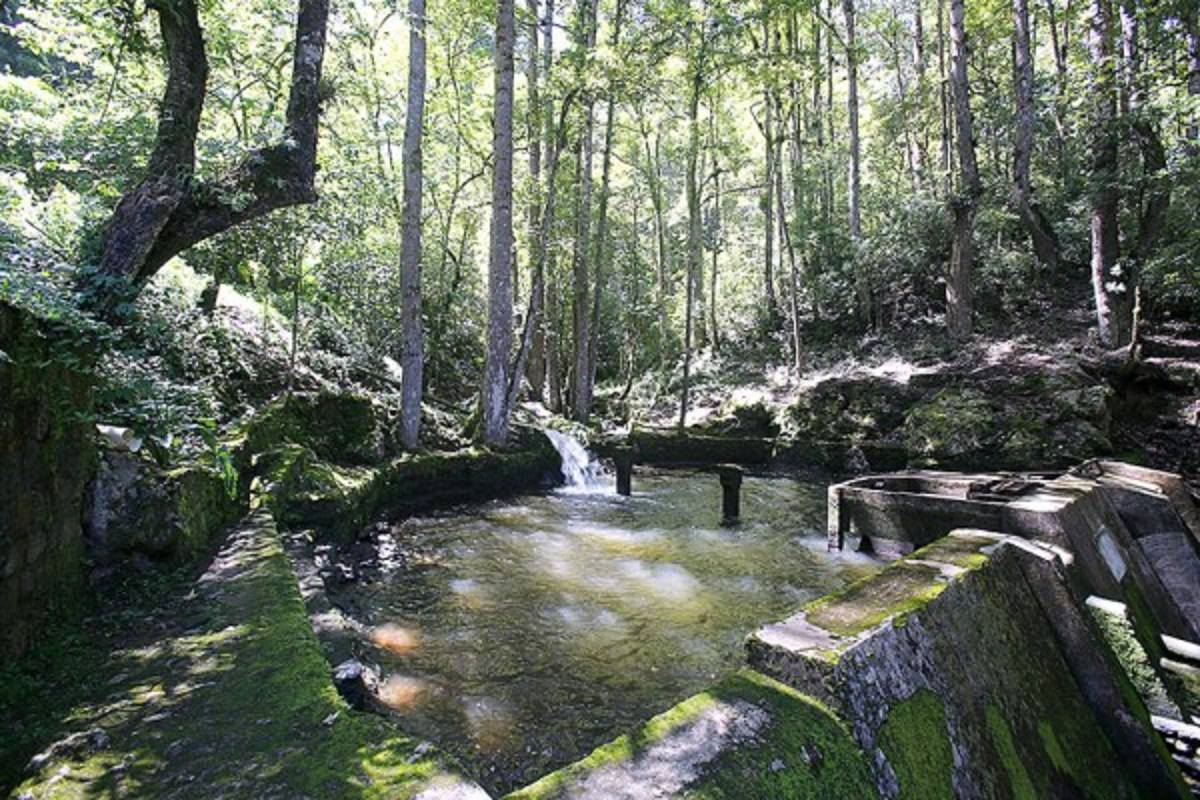 Exuberante belleza natural en La Tigra