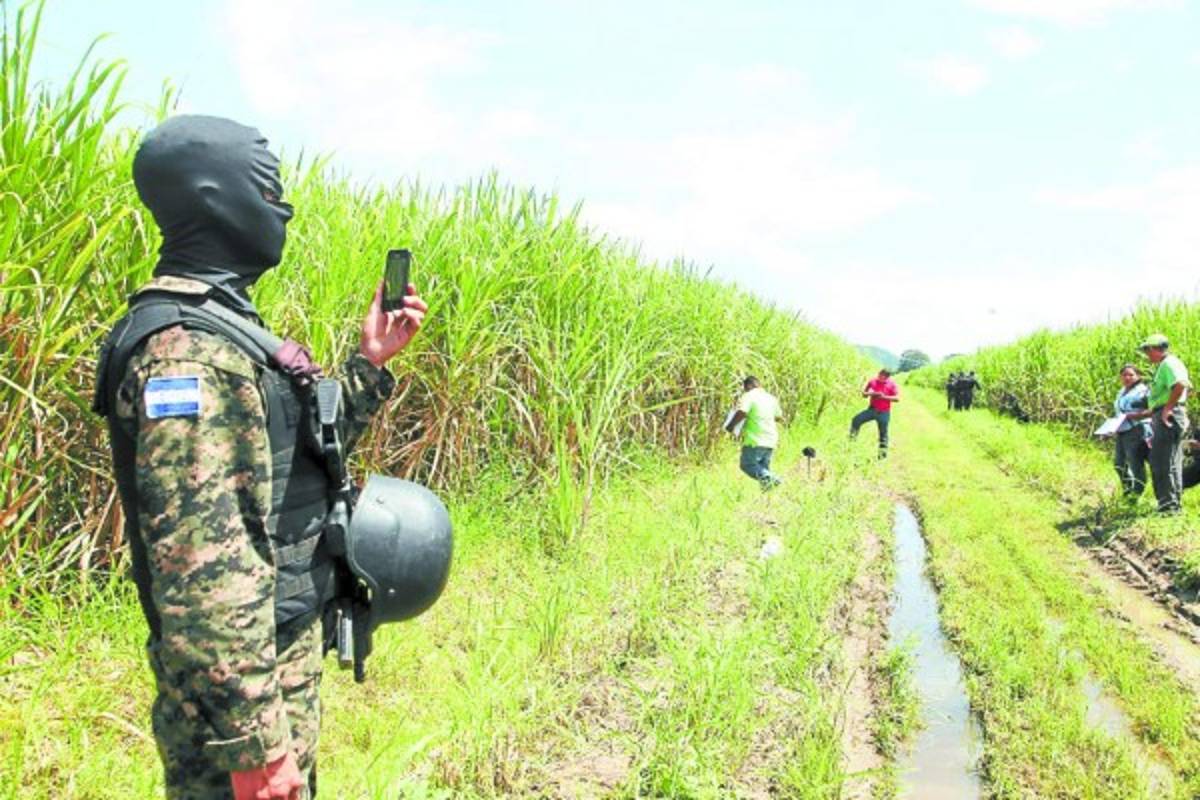 Honduras: En las cañeras hallan un cadáver