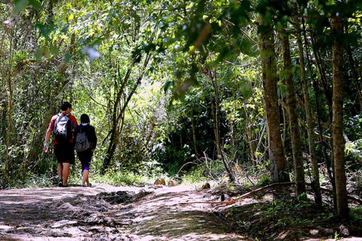 Exuberante belleza natural en La Tigra
