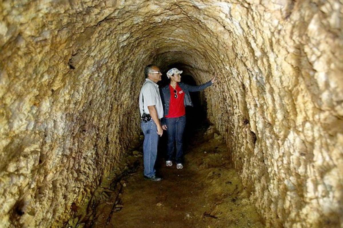 Exuberante belleza natural en La Tigra