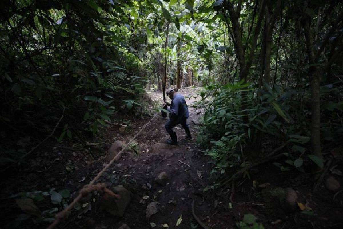 Finca Santa Emilia, un rincón para dejarse consentir por la madre naturaleza