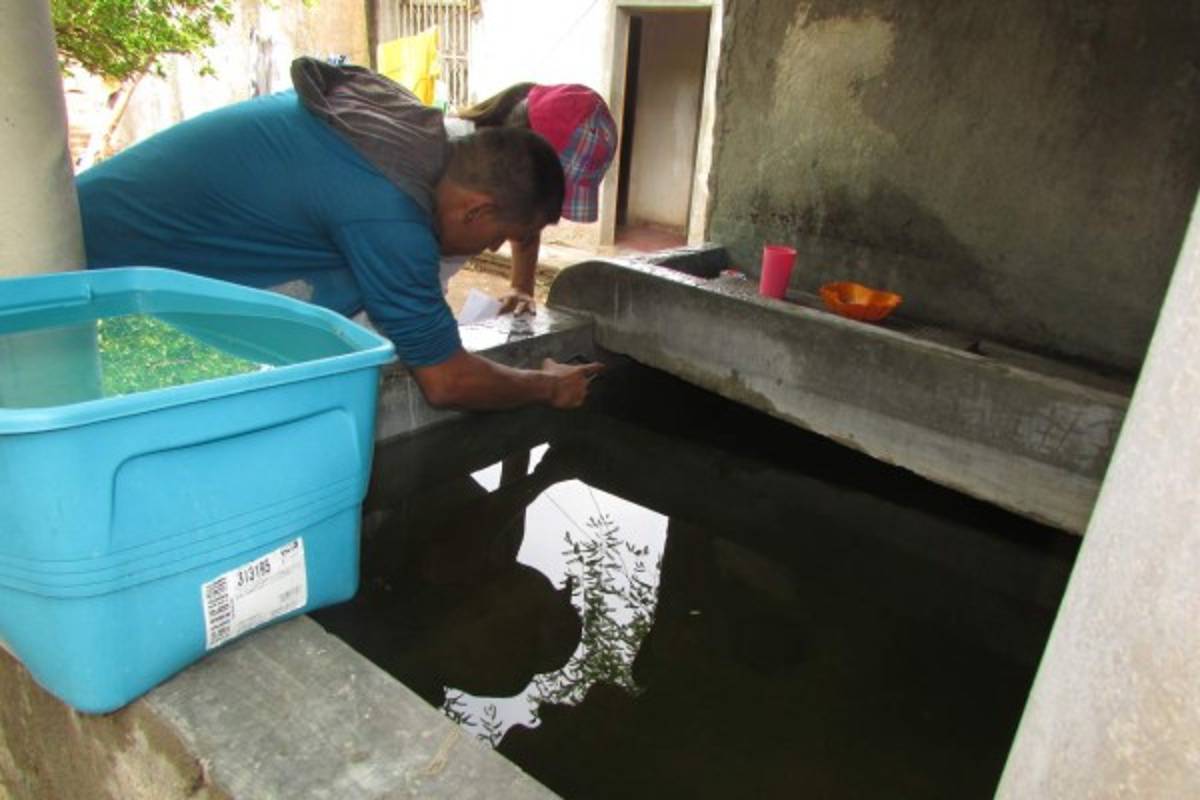 Bajos índices de infestación reporta salud en Choluteca