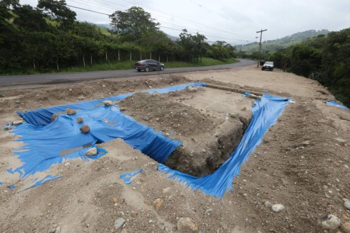 Vendedores serán formados para controlar producción de basura