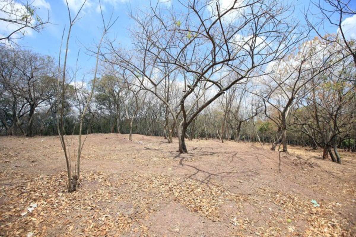 Alumnos del distrito escolar cinco celebran el Día de la Tierra