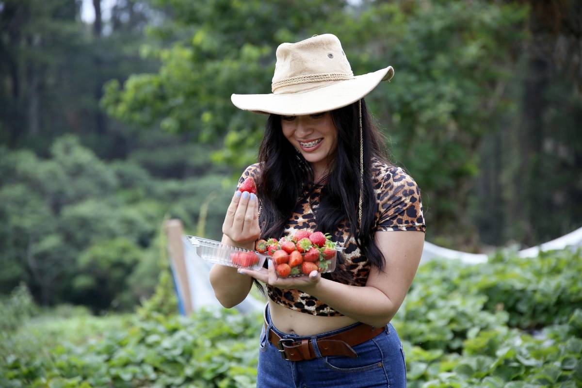 La eterna primavera floral del municipio de Santa Lucía, Francisco Morazán