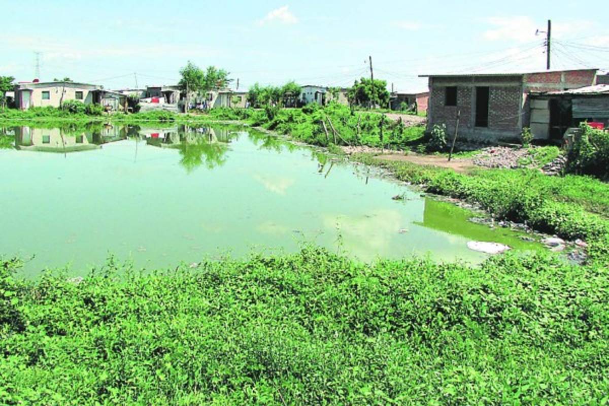 Cinco obras para acabar con la sequía en el sur de Honduras