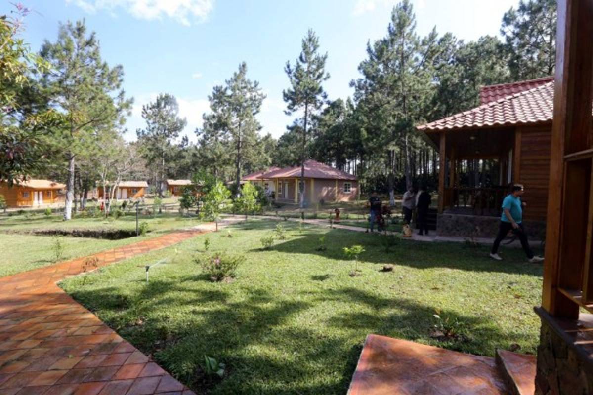 Tierra Adentro: El aroma a café en Marcala, San Pedro y Veracruz