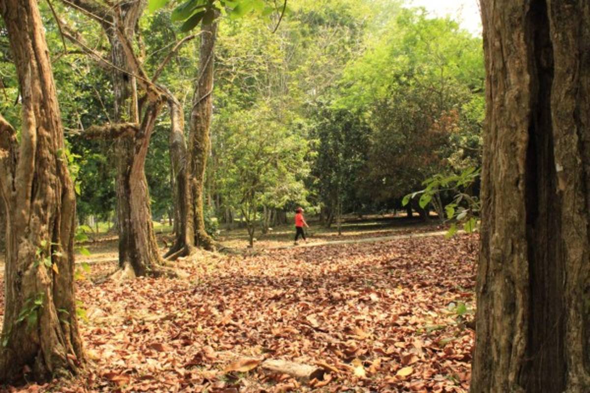 Un viaje por la Joya Verde del Caribe hondureño