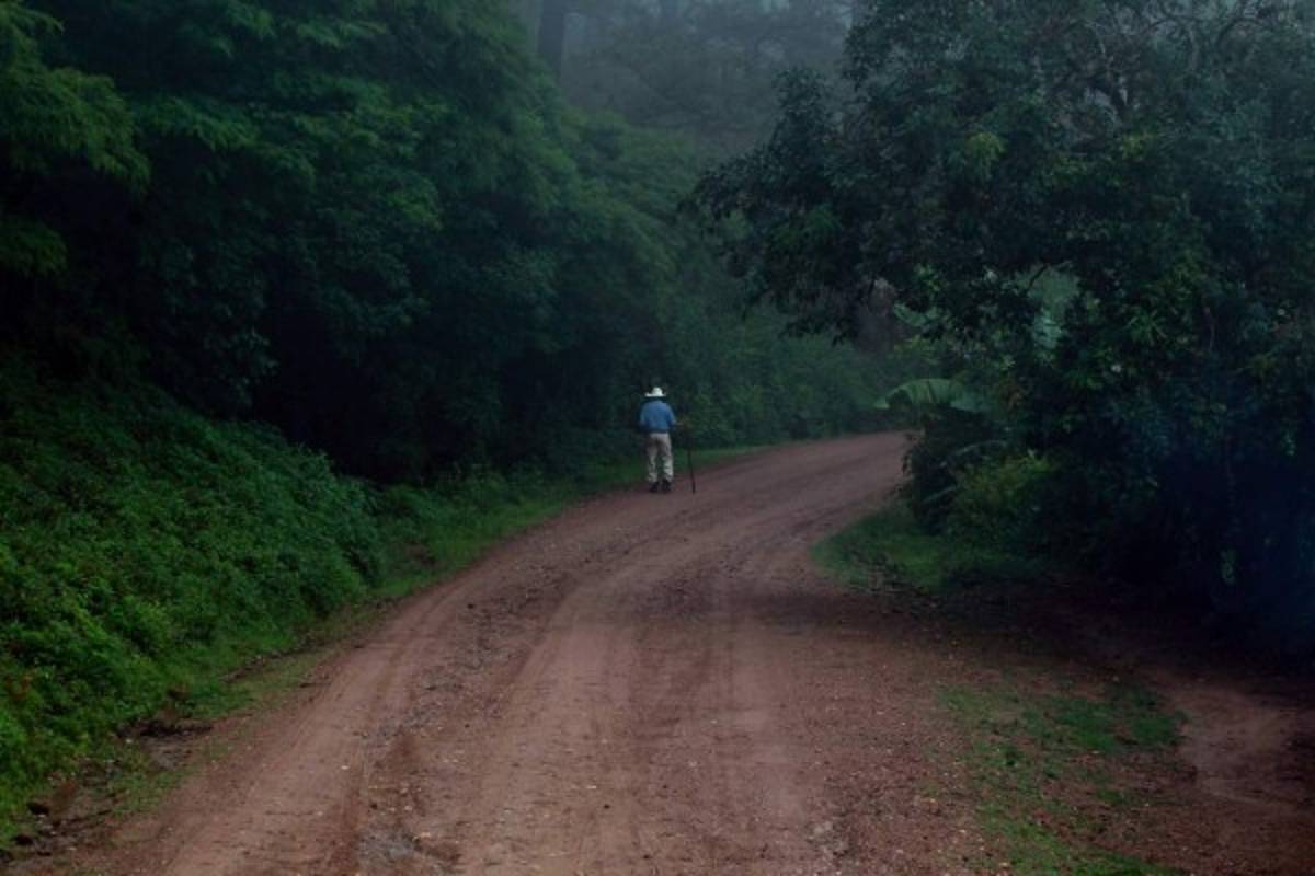 Aunque la calle sea de tierra, en el trayecto a las minas de Cacamuyá los turistas disfrutarán de una agradable frescura.