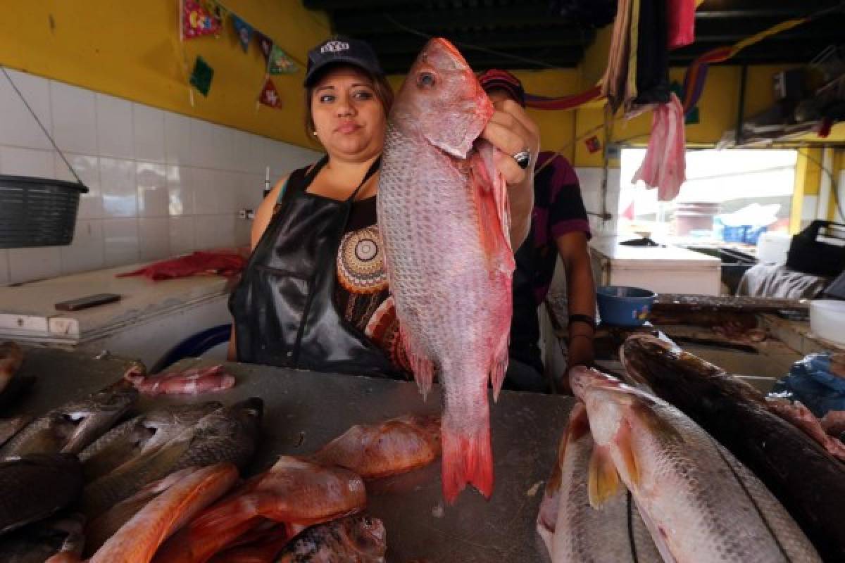 Unas 200 mil libras de pescado seco serán comercializadas en la capital