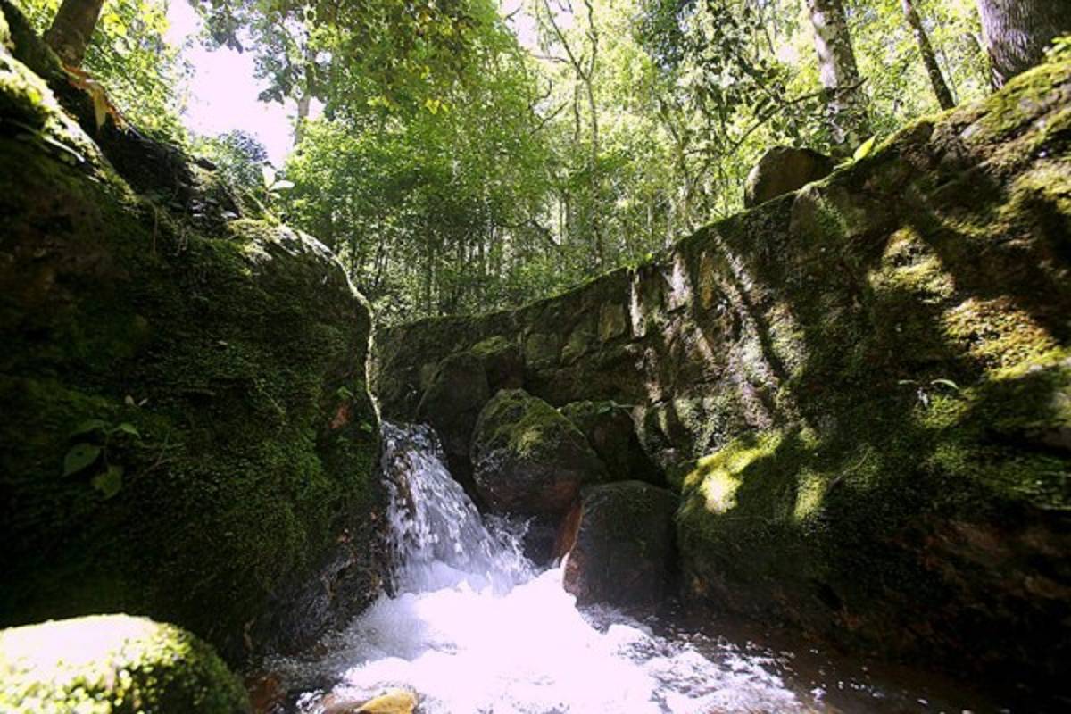 Exuberante belleza natural en La Tigra