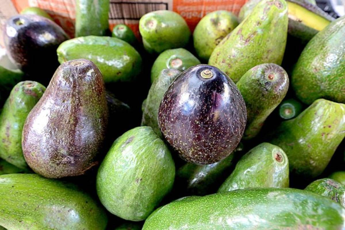 Un recorrido por la Feria del Agricultor y el Artesano