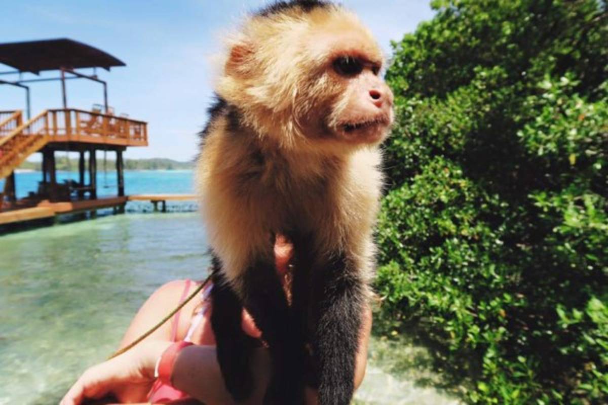 Actor Carlos Pena visita las bellas playas de Roatán