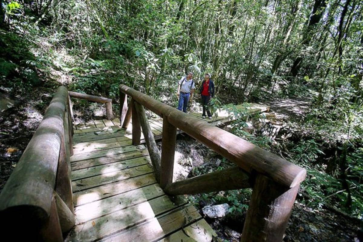 Exuberante belleza natural en La Tigra