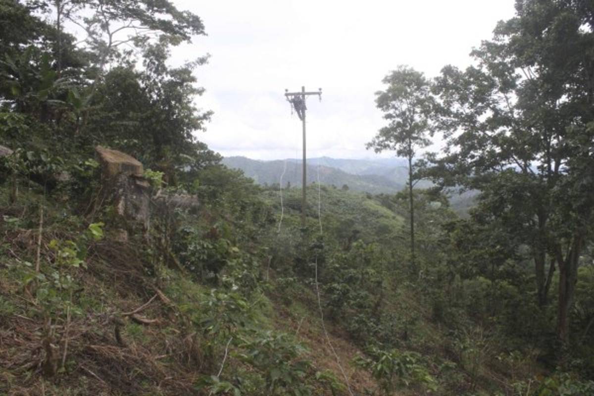 10,000 beneficiados con energía eléctrica
