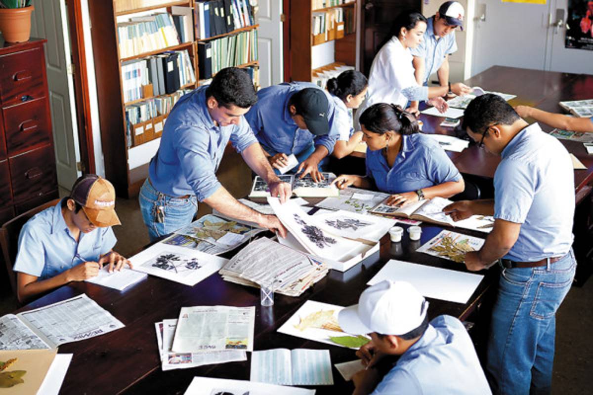 El herbario de Zamorano