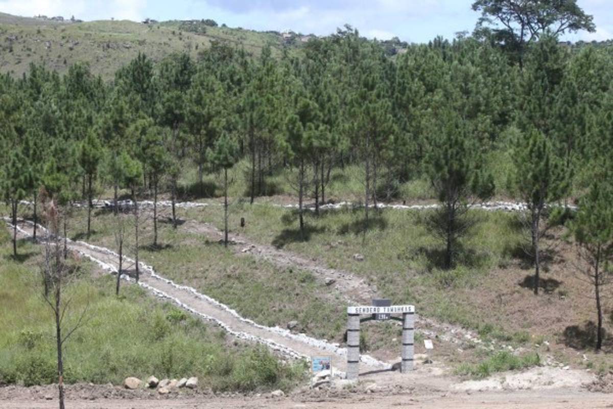 Gobierno concluye obras en el parque del Campo de Parada Marte