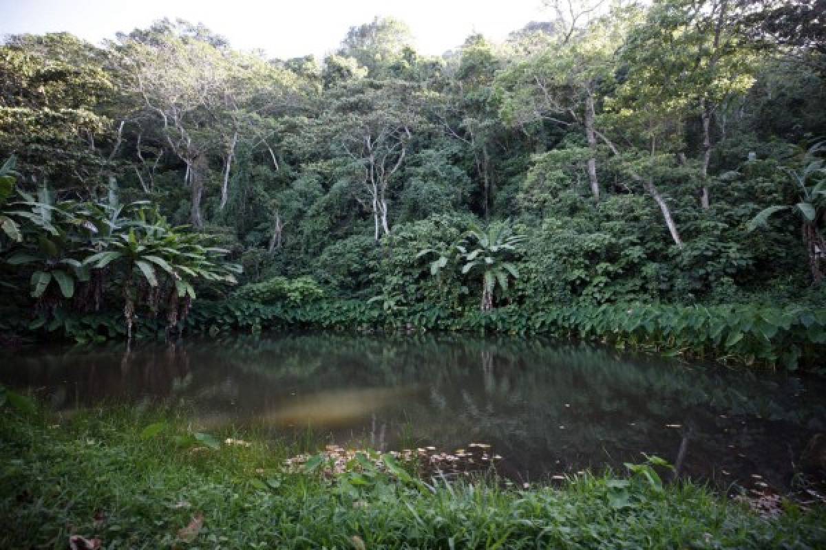 Finca Santa Emilia, un rincón para dejarse consentir por la madre naturaleza