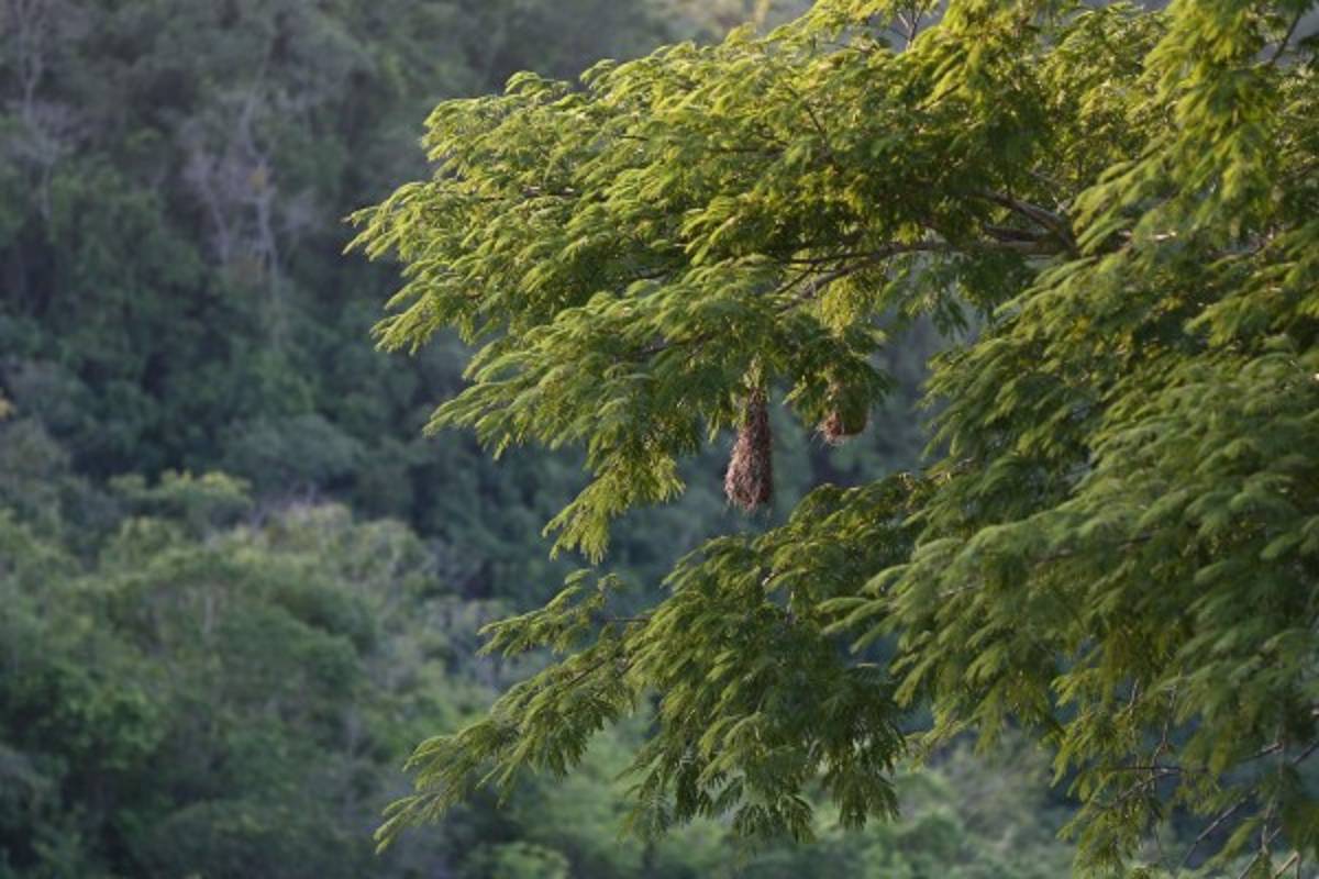 Finca Santa Emilia, un rincón para dejarse consentir por la madre naturaleza