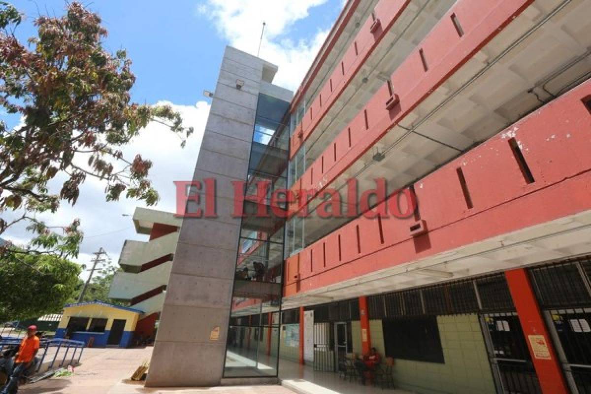 Un vicerrector podría sustituir a Julieta Castellanos en la Universidad Nacional Autónoma de Honduras (UNAH)