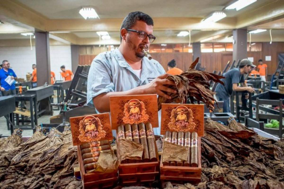 The Oscar Valladares Tobacco, habanos y cultura en el mundo