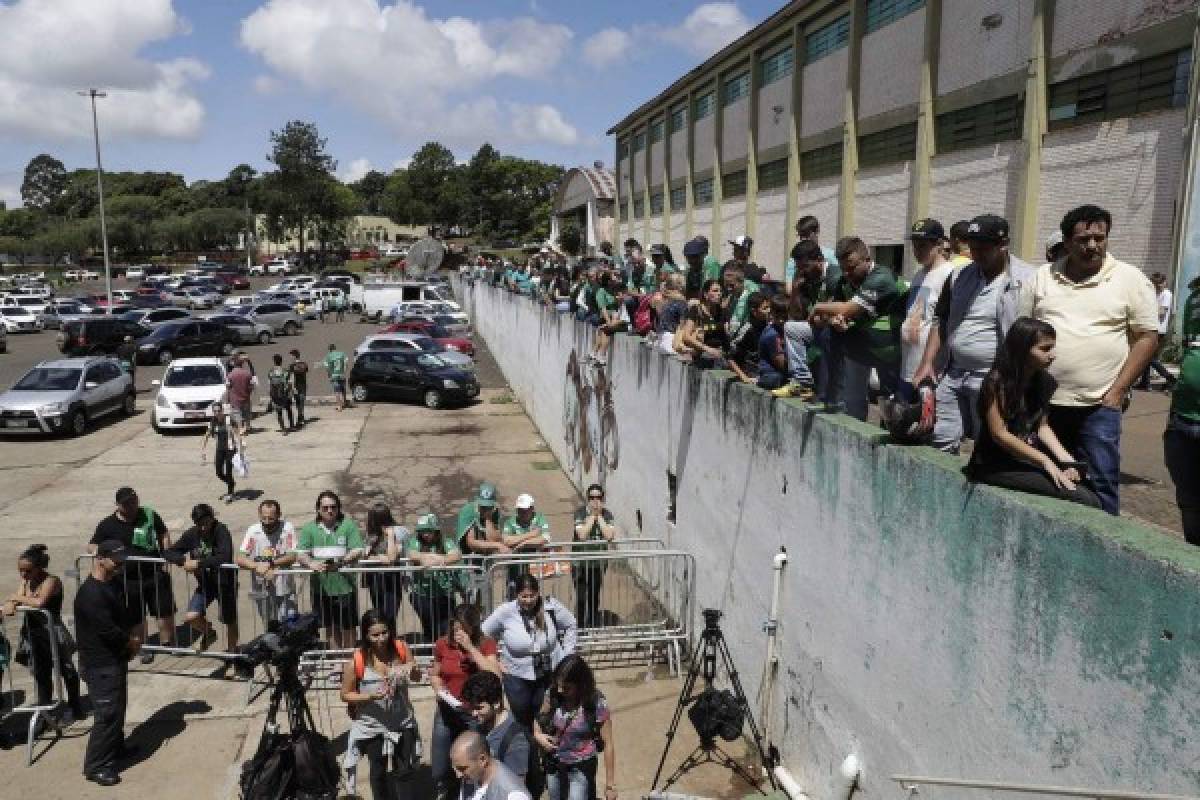 'Sólo Dios sabe por qué me quedé': cuatro brasileños esquivaron la tragedia del Chapecoense