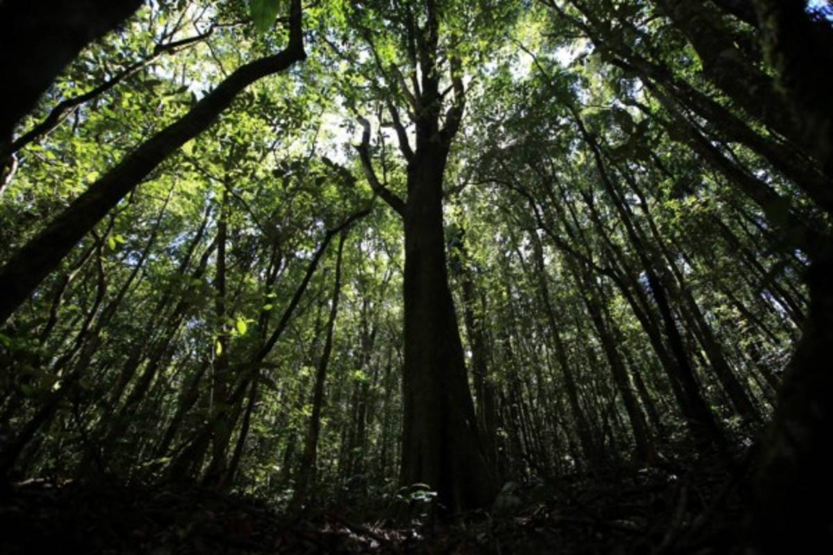La ruta Cerro de Plata, la unión de El Picacho, El Piligüín y La Tigra