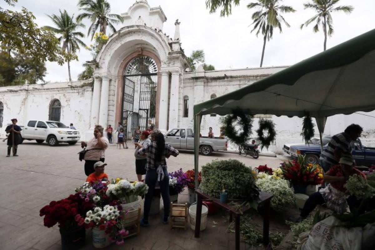 Testigos silenciosos del reencuentro de sentimientos en cementerio de la capital