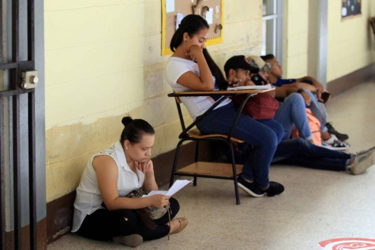 Universitarios estudian al aire libre