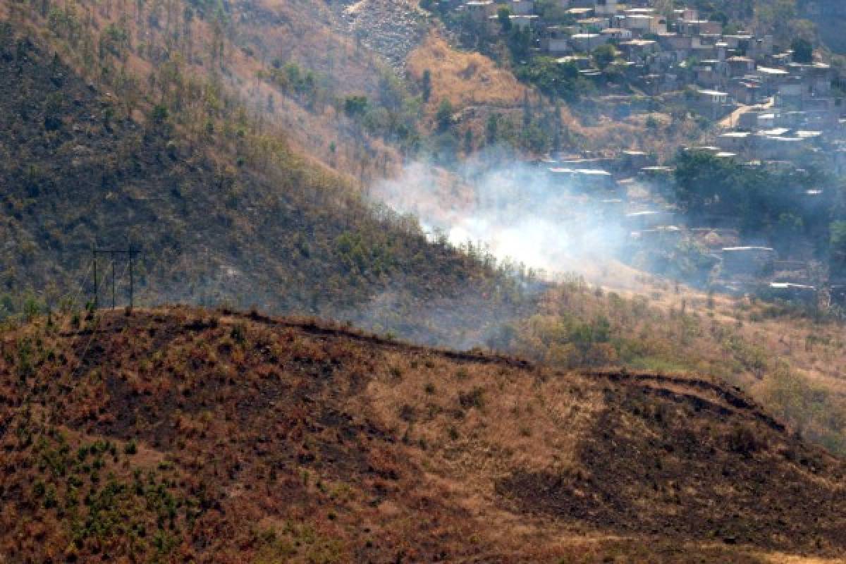 Cuatro incendios al día sofocan en el Distrito Central